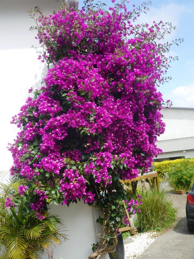 Plumeria Holidays Saint Pierre Exteriér fotografie